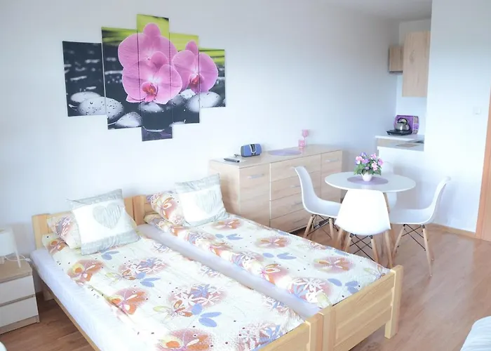 Pokoje Nad Solina 695-533-767